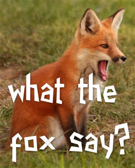 What the fox say - Read What Does the Fox Say? (Official) - Chapter 91 | ManhuaScan. The next chapter, Chapter 92 is also available here. Come and enjoy! Seong Sumin is the team manager of Hello Studio, a company that develops mobile games and is run by her ex-girlfriend, Baek Seju. Sumin is struggling to get over her painful past by jumping from one partner to …